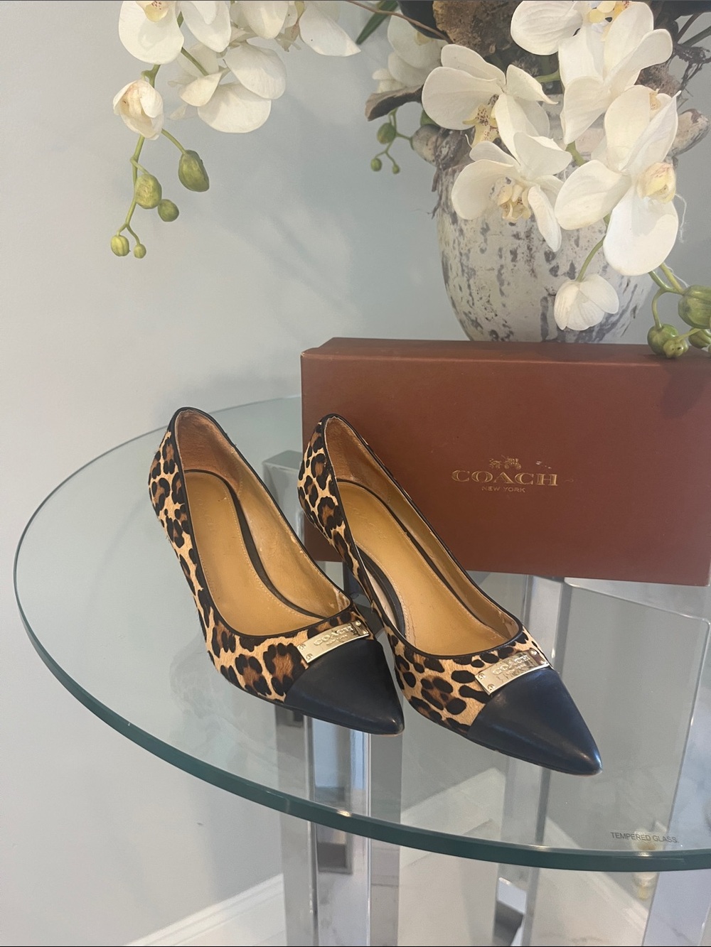 Coach Leopard Print Pointed Pumps with Black Cap Toe and Gold Plaque